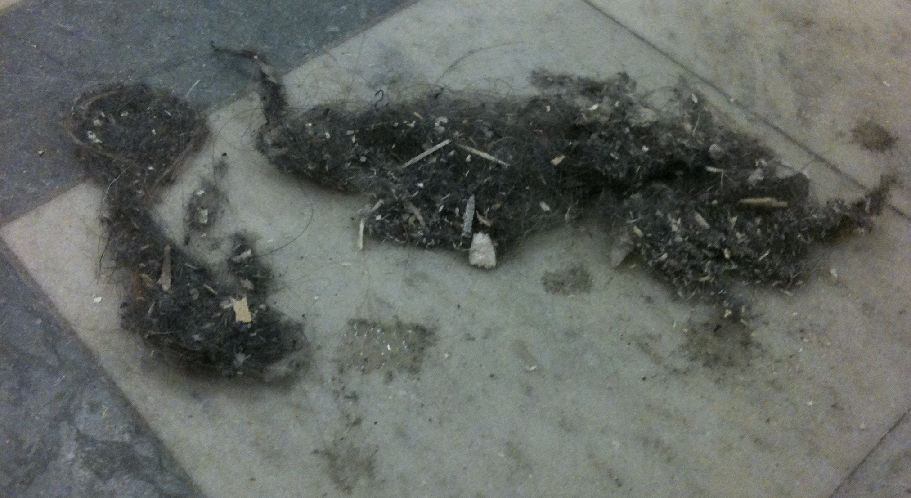 Den rörde inte på sig.